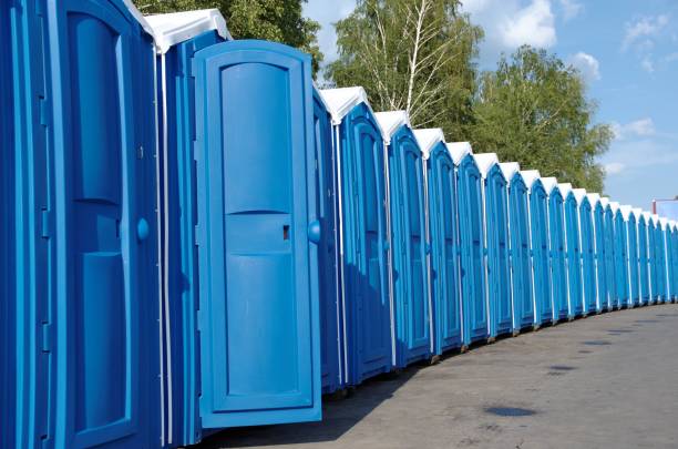 Best Affordable portable toilet rental  in Medina, MN